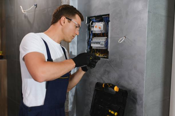 Best Ceiling Fan Installation Electrician  in Ripley, MS